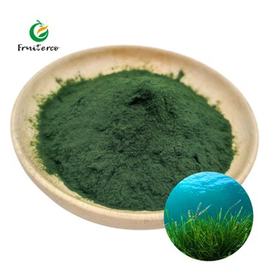 Organikus spirulina por